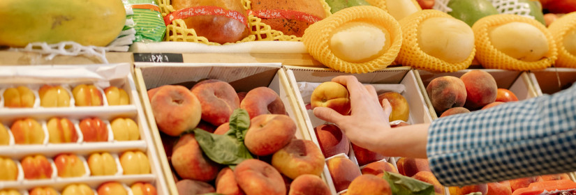 SNAP Benefits Just Got a Boost—Learn About the New Age and Work Requirements