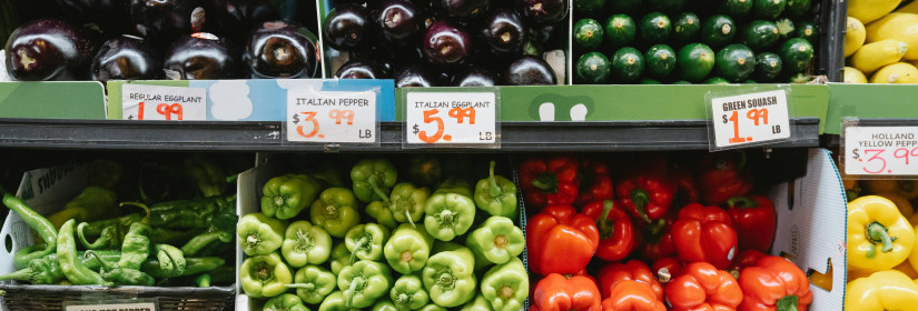 Trump's Inflation Strategy: What to Expect for Energy, Housing, Labor, and Costs